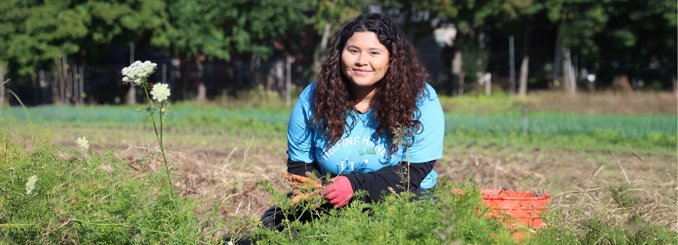 A female Alnylam volunteer in a field harvesting carrots
